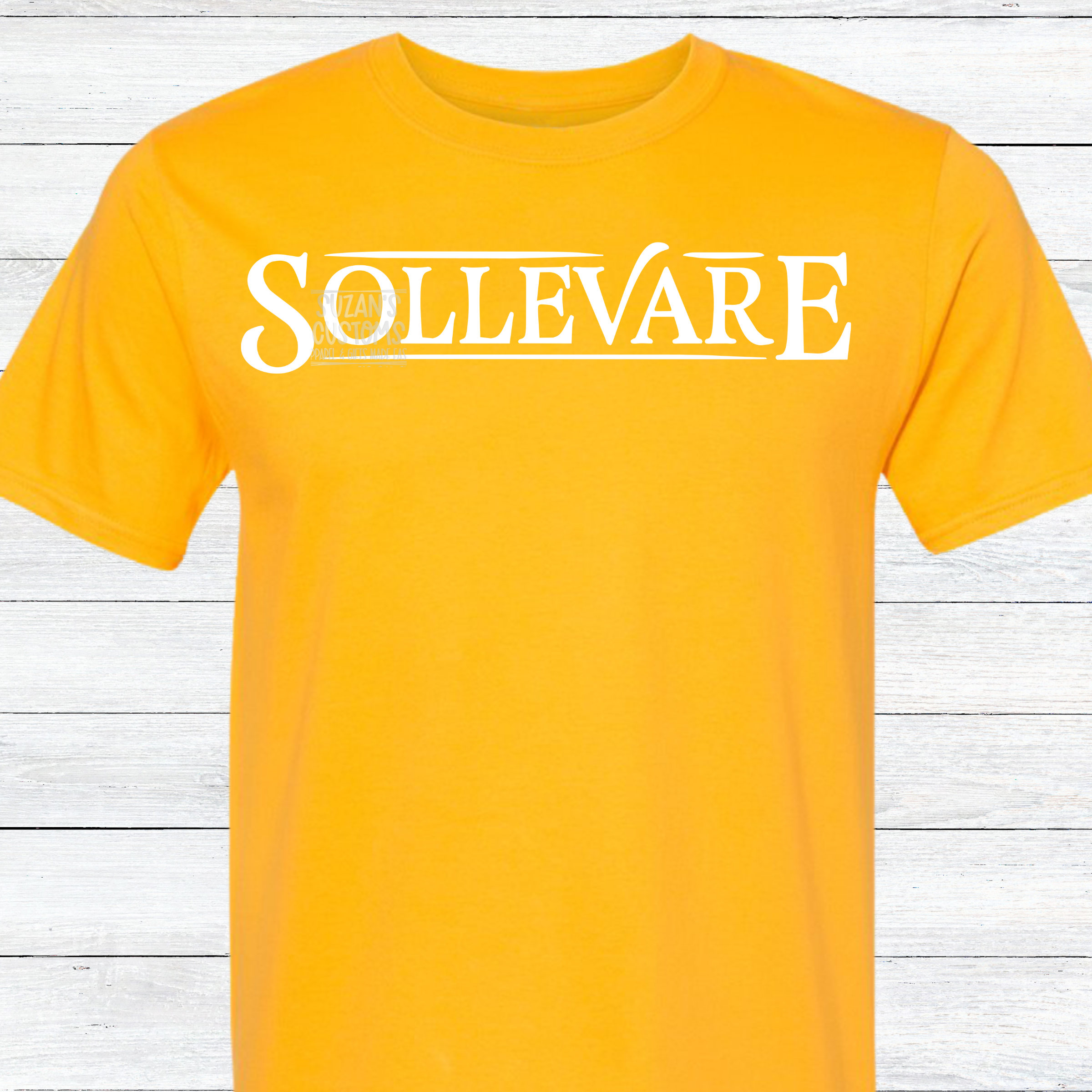 Anderson Tigers.13-Sollevare House